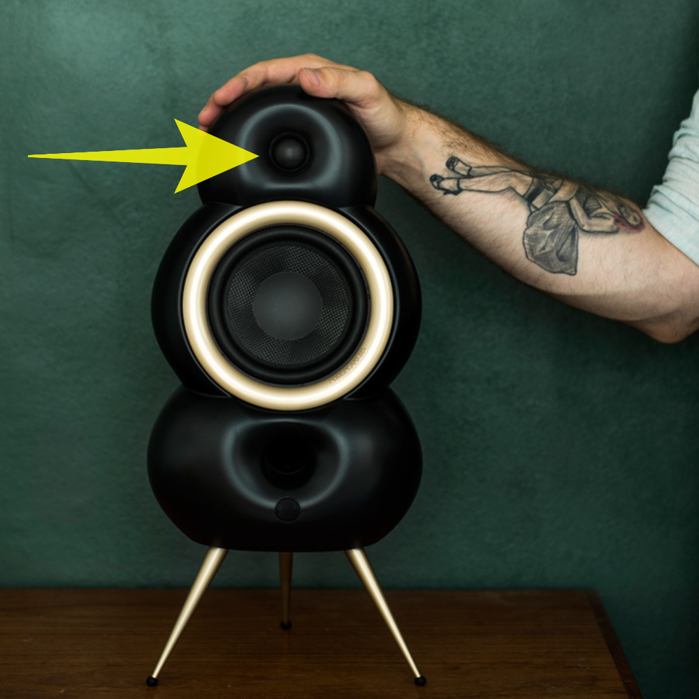 Scandyna MNP MK4 - tweeter