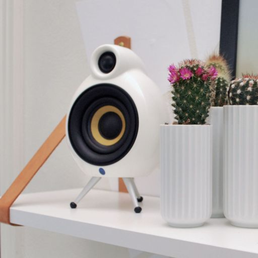 White Scandyna MCP loudspeaker with black decoration ring and yellow woofer on a shelf with cacti flowering