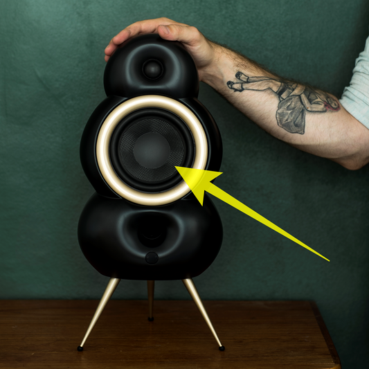 Scandyna MNP MK4 - woofer